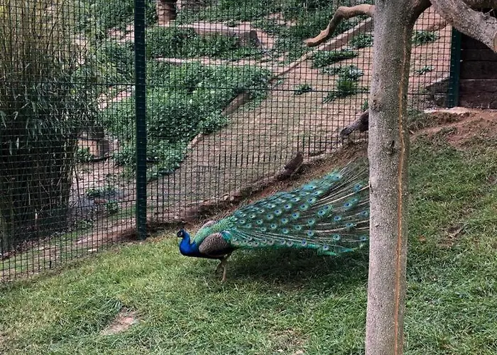 Casa di campagna Mas La Riera